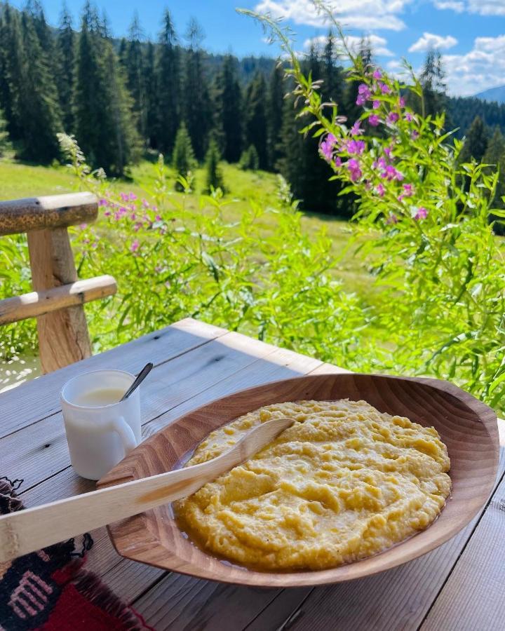 Samel'S Cottage Hrid'S Lake Prokletije พลาฟ ภายนอก รูปภาพ