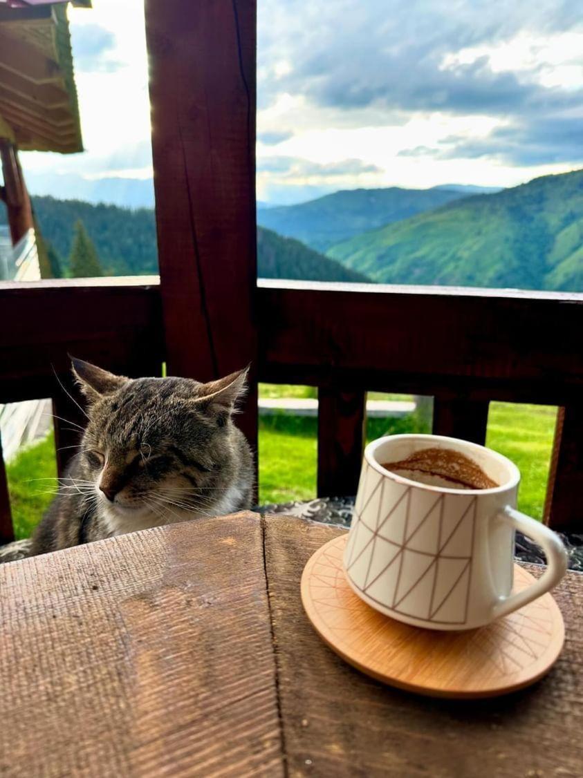 Samel'S Cottage Hrid'S Lake Prokletije พลาฟ ภายนอก รูปภาพ