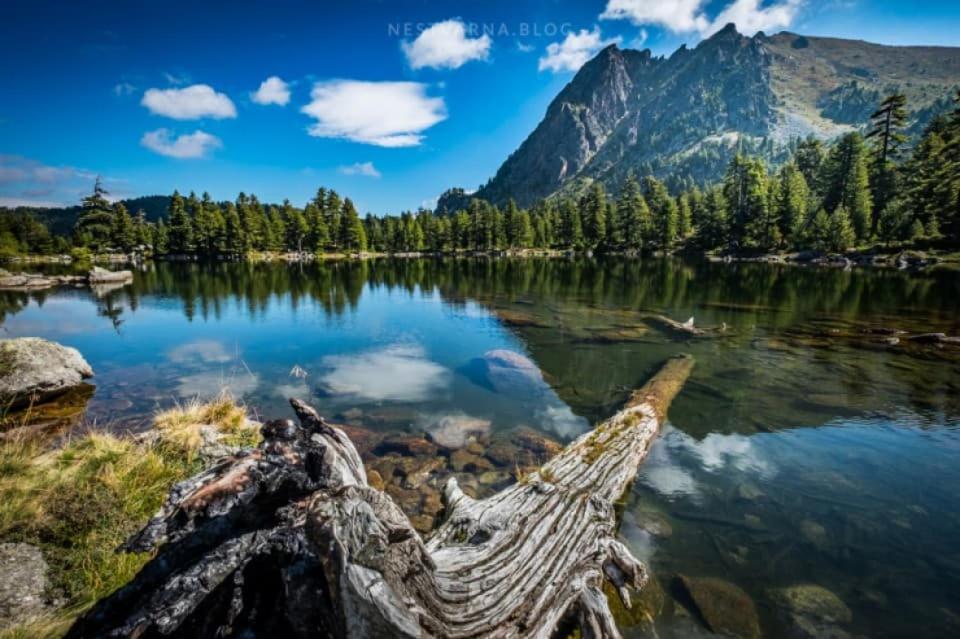 Samel'S Cottage Hrid'S Lake Prokletije พลาฟ ภายนอก รูปภาพ